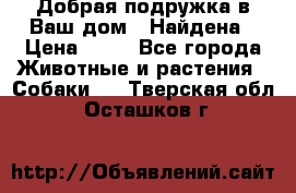 Добрая подружка,в Ваш дом!!!Найдена › Цена ­ 10 - Все города Животные и растения » Собаки   . Тверская обл.,Осташков г.